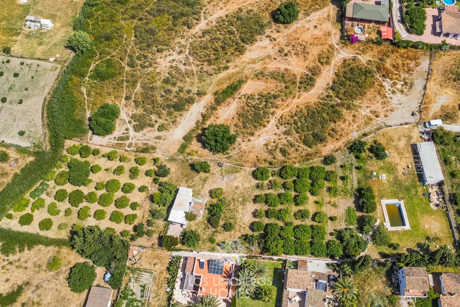 Estepona · Plot