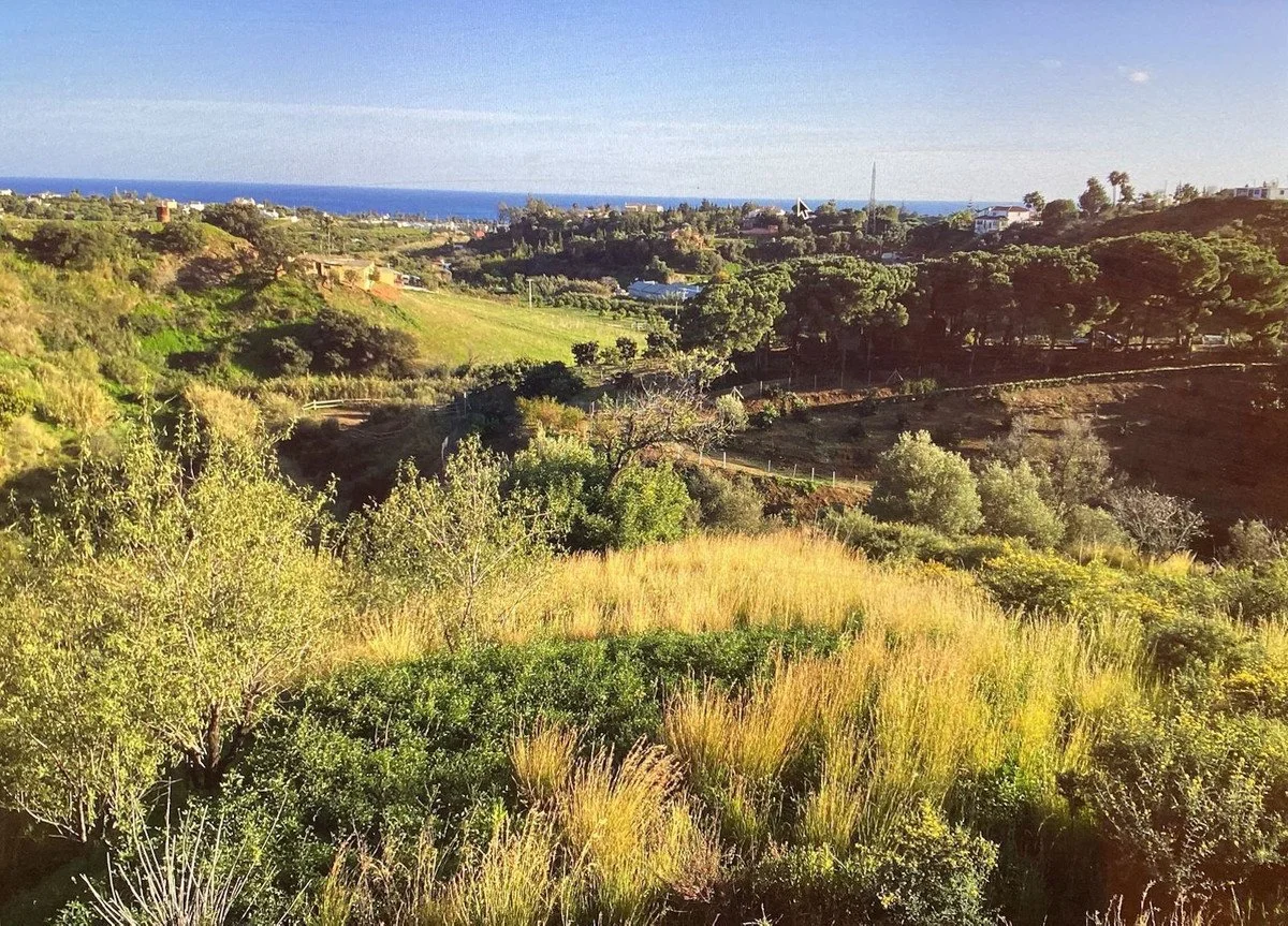 Estepona · Terreno